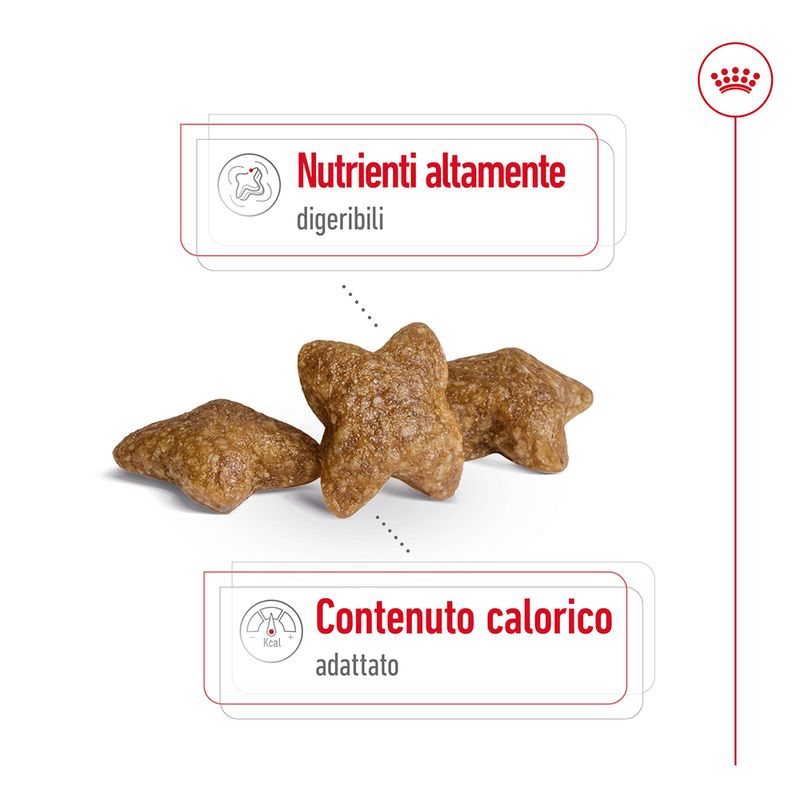 2x8kg Royal Canin Mini Adult - Crocchette per Cani 2x8kg Royal Canin Mini Adult - Crocchette per Cani